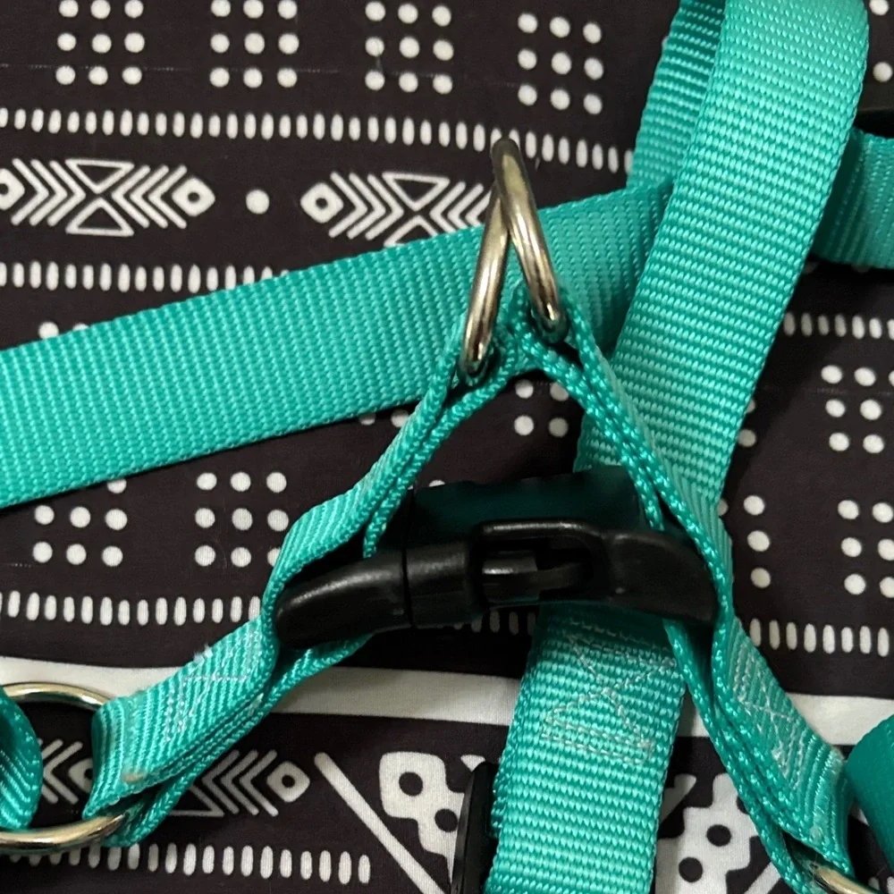 Teal No Pull Dog Harness